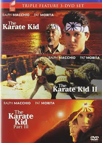 The Karate Kid  The Karate Kid  The Karate Kid (Triple Feature DVD Set)